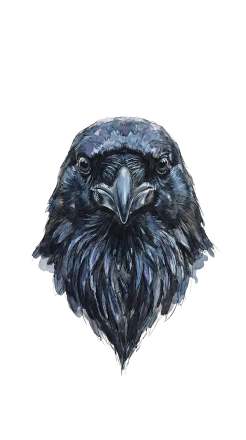 Lens Raven